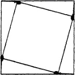 Четыре черепахи расположены в вершинах квадрата