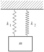 на двух пружинах висит тело
