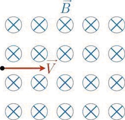 В магнитное поле перпендикулярно его силовым линиям влетел протон